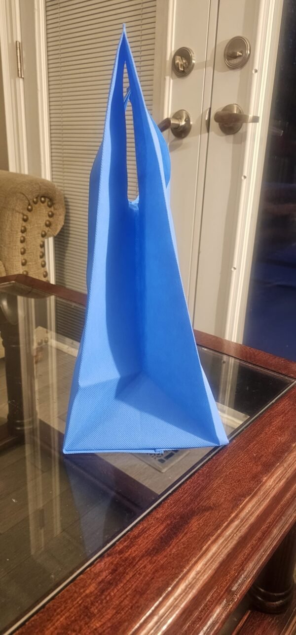 Carry Bag D cut 2