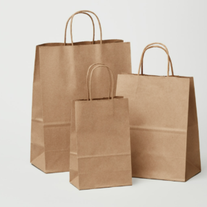 Paper Bags with twisted handles