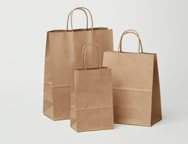 Paper Bags with twisted handles