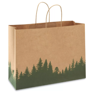 Paper Bag with Printing