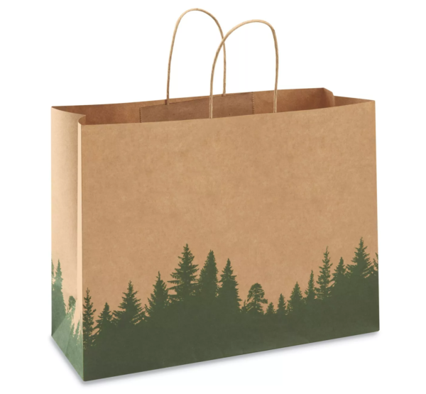 Paper Bag with Printing