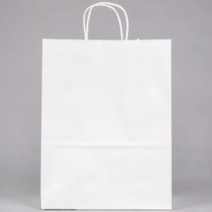 White Twisted Handle Paper Bag